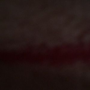 Meet your Posher, Josiah